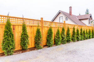 What to Know Before Installing a Privacy Fence
