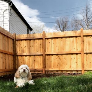 backyard wooden fence